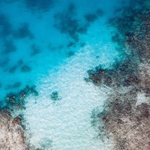 Meet your Posher, Caitlin